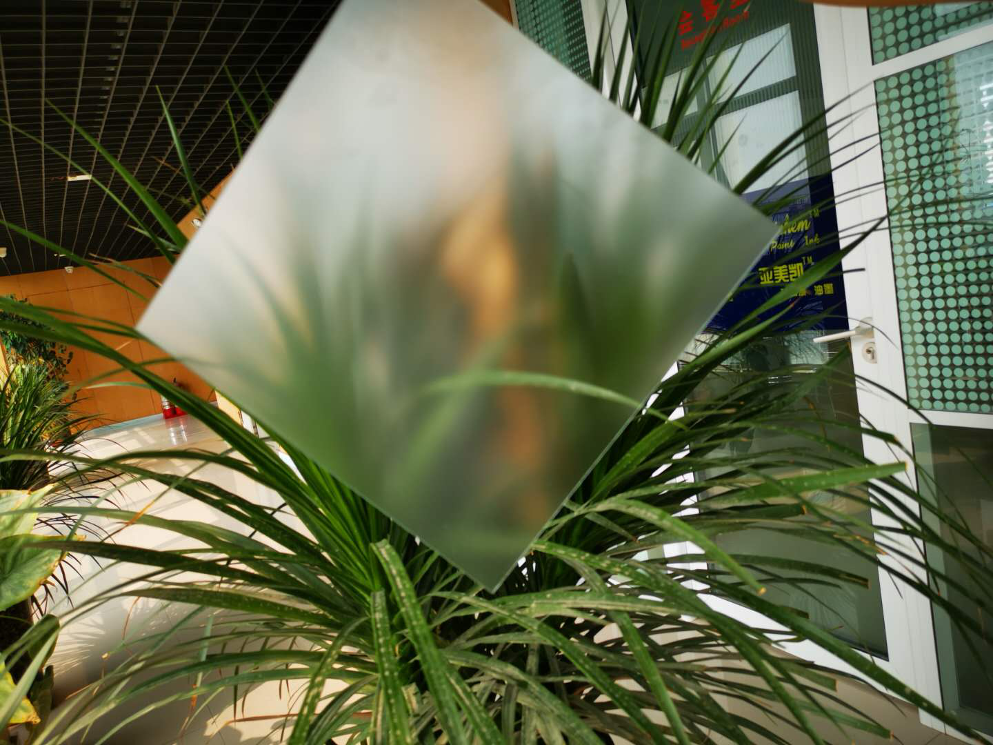 肌肤砂ly官网蒙砂粉